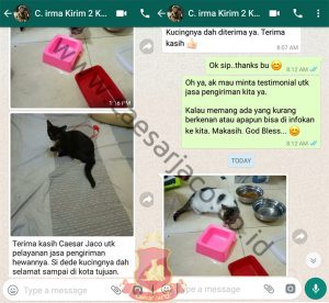 Irma - kirim 2 kucing Jakarta - Solo