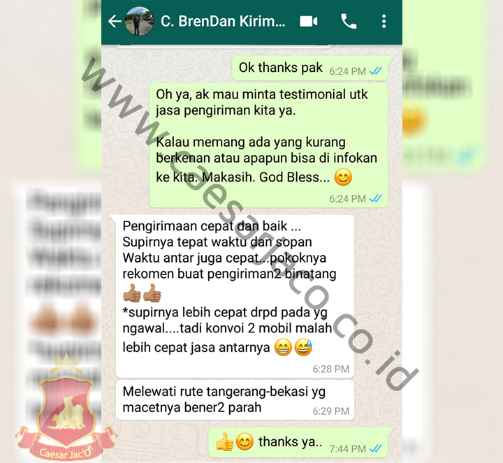 Brendan-kirim-golden-tangerang---bekasi