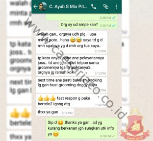 Ayub mandi mix pitbull cipinang jakarta timur