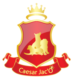 logo caesar jaco