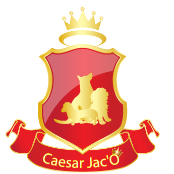 logo caesar jaco