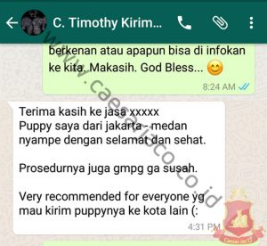 pengiriman timothy kirim poodle