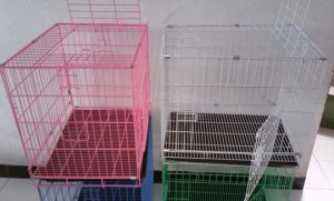 jual kandang anjing