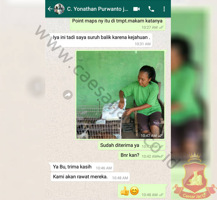 Purwanto: Kirim anjing Jakarta - Jogja