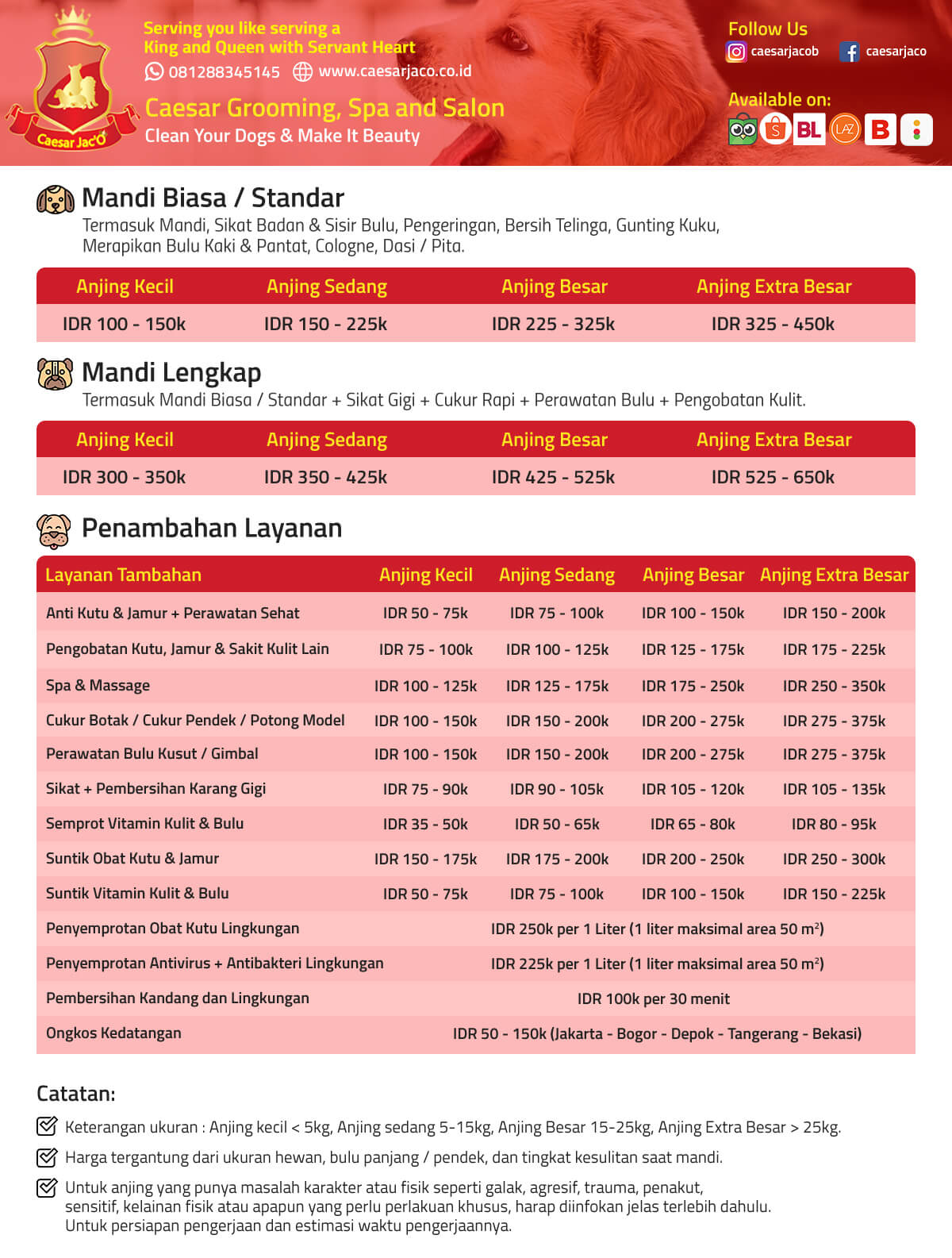 Pricelist-Grooming-Anjing