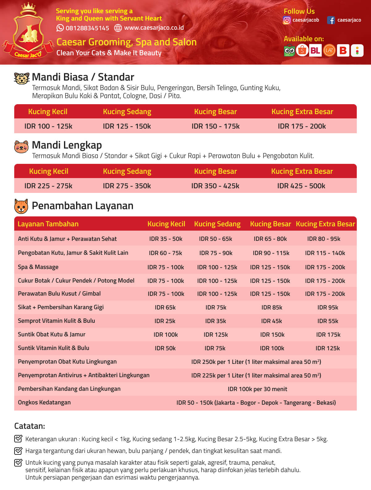 Pricelist-Grooming-Kucing