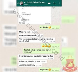 dian-grooming-kucing-menteng-jakarta-pusat