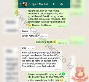 ega-mandi-grooming-anjing-mix-pamulang-tangerang-selatan