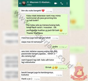 maureen-mandi-grooming-anjing-alaskan-malamute-poodle-greenlake-cengkareng-jakarta-barat
