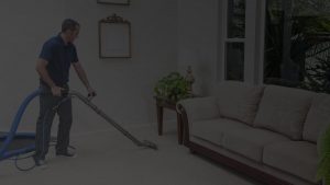 carpet-cleaning-services