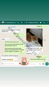 Jasa Grooming Kucing Jakarta