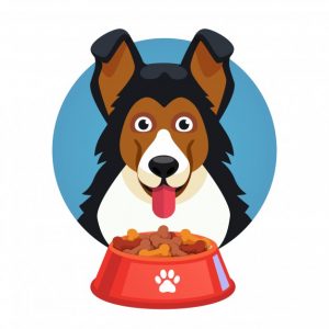 Tips Menangani Anjing yang Susah Makan