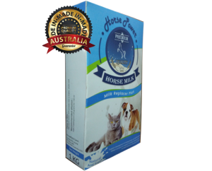 susu kucing