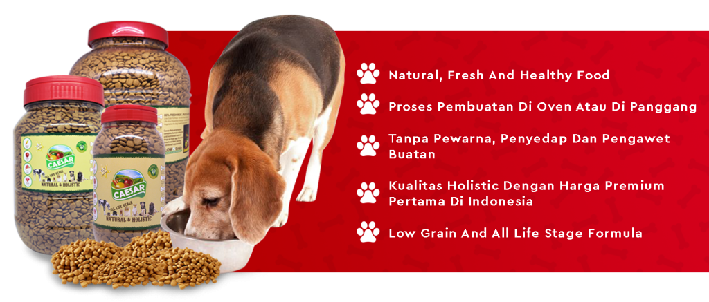 Alasan Memilih Dog Food