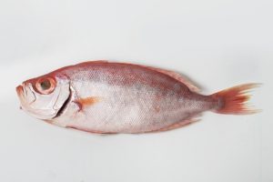 Ikan mentah