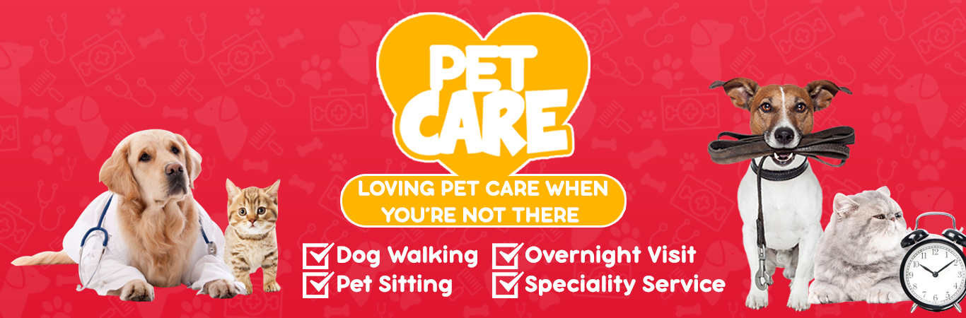 pet sitting jakarta