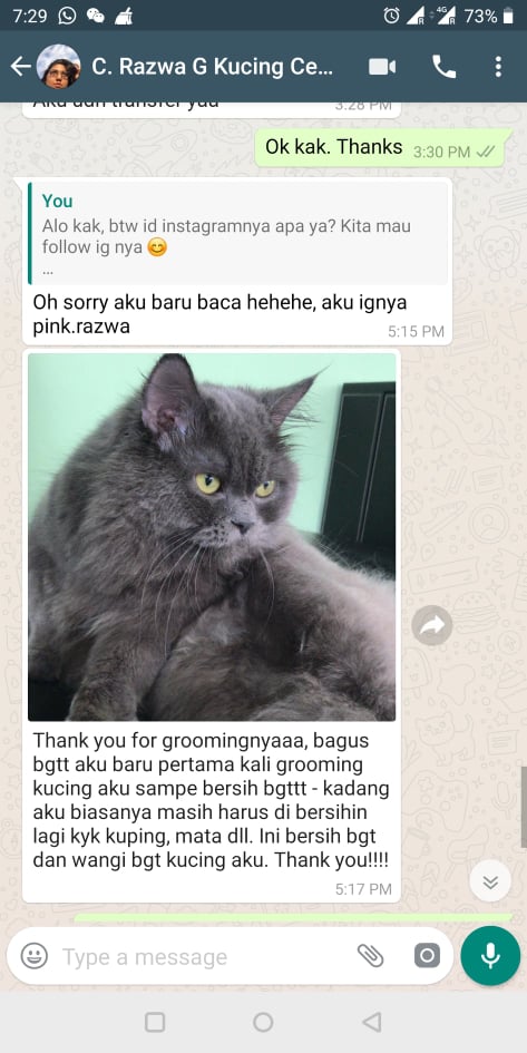 grooming mandi anjing kucing hewan jakarta bogor depok tangerang bekasi