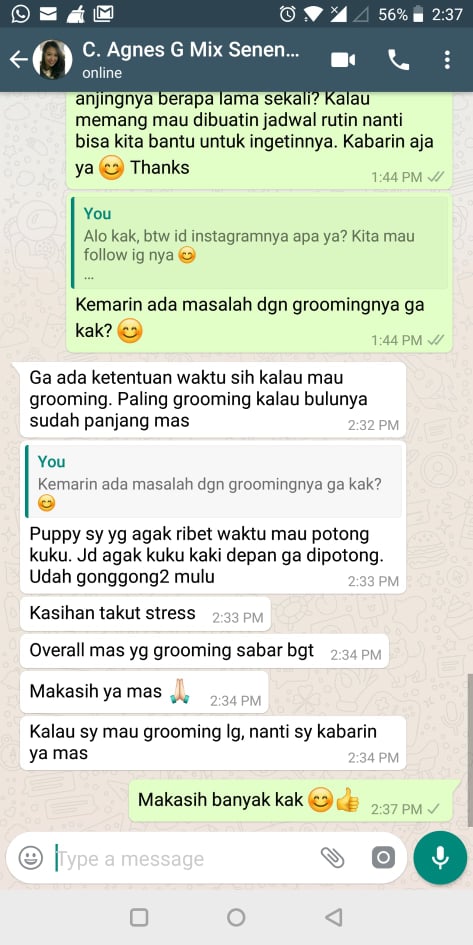 grooming mandi anjing kucing hewan jakarta bogor depok tangerang bekasi