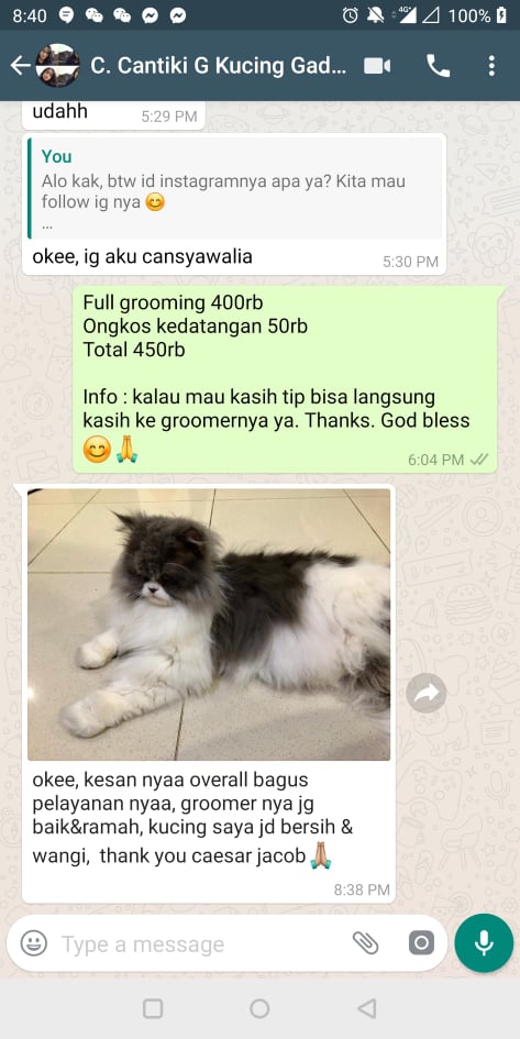 grooming mandi anjing kucing hewan jakarta bogor depok tangerang bekasi