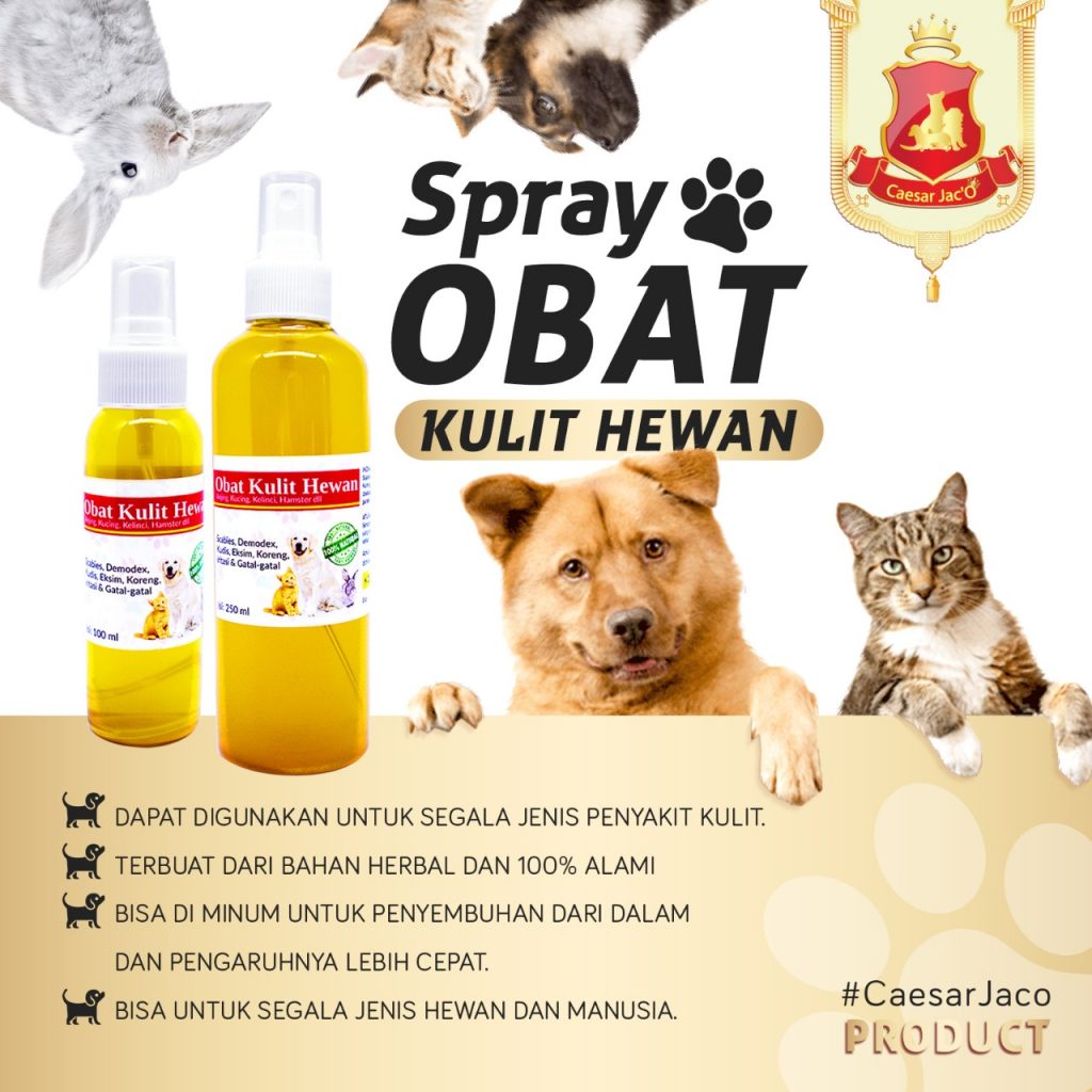Obat Kulit, Jamur dan Scabies Kucing / Anjing | Caesar Jac’O