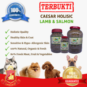 Dogfood Makanan Anjing Caesar Holistic Lamb & Salmon