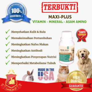 Maxi Plus vitamin anjing kucing vitamin bulu anjing kucing nafsu makan penggemuk kesehatan