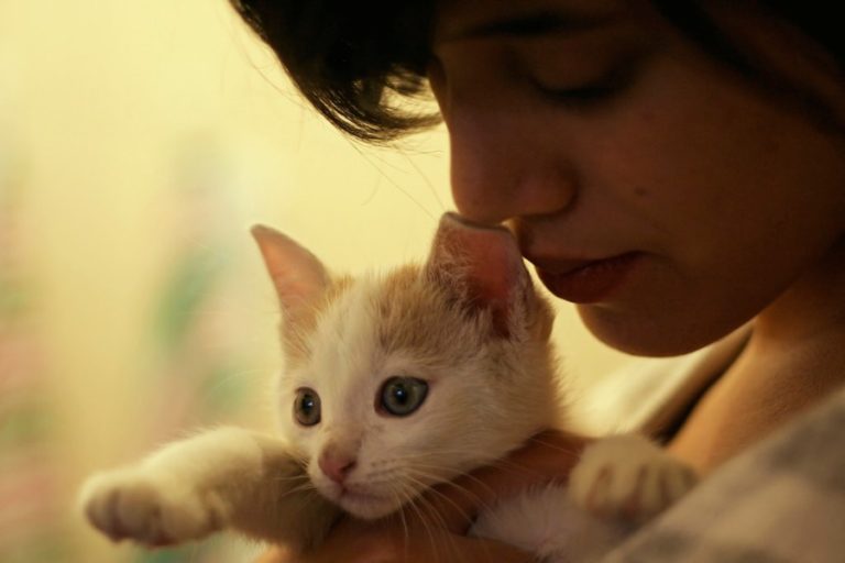 Tips Memelihara Kucing: Cara Mudah Merawat Kucing Kesayangan Anda
