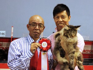 Kota-Kinabalu-Malaysia-Cat-Show-1-300x225